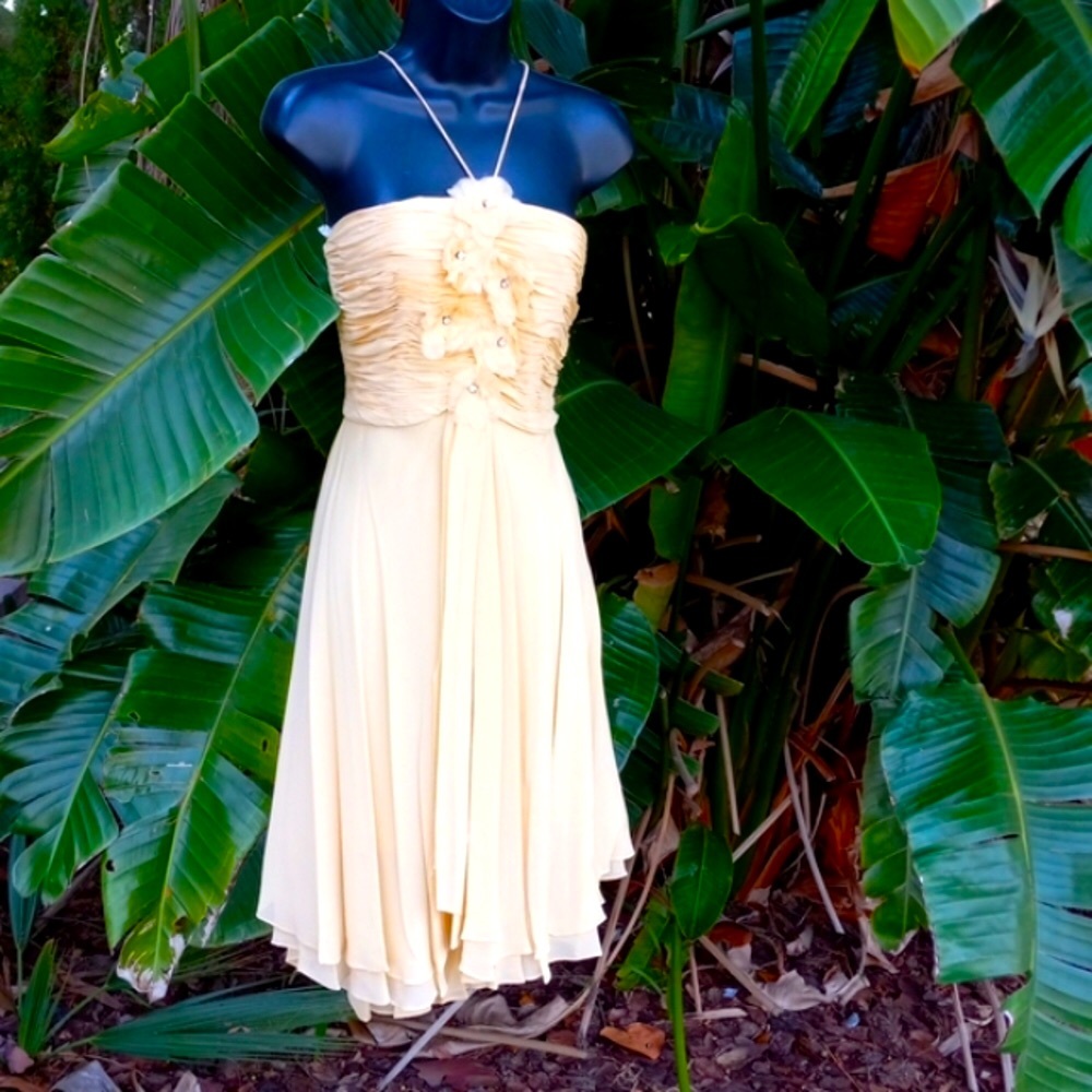 I ssue silk halter with rosettes